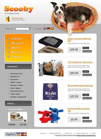 NetSuite Ecommerce Template 0018860