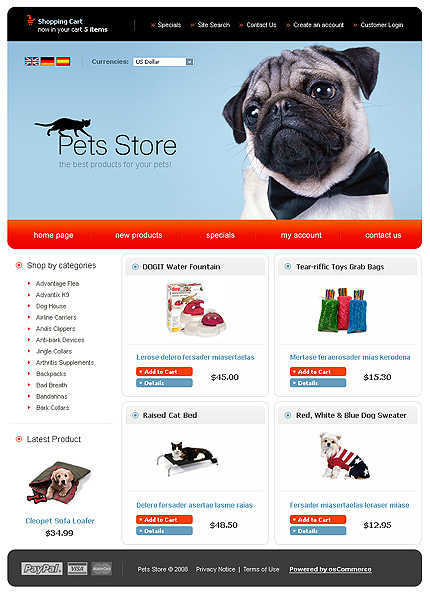 NetSuite Ecommerce Template 0019307