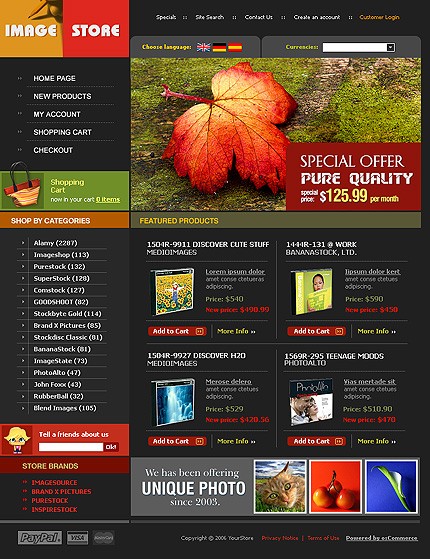 NetSuite Ecommerce Template 0010541b