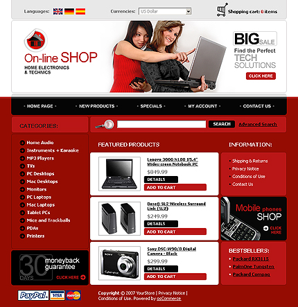NetSuite Ecommerce Template 0017867b