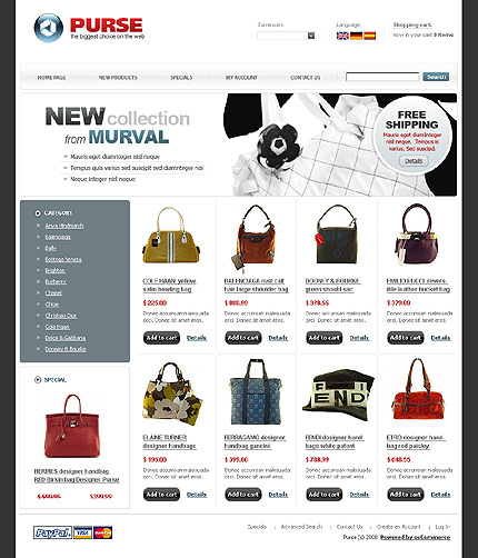 NetSuite Ecommerce Template 0022237b