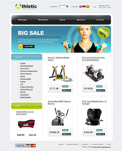 NetSuite Ecommerce Template 0021466b